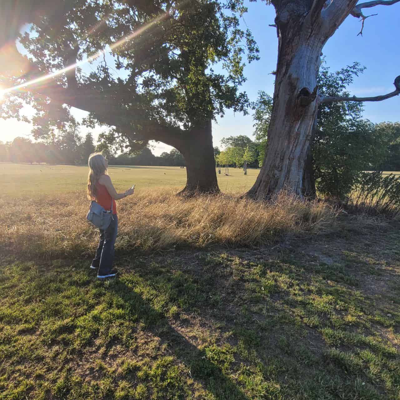 Woman looking up at large tree in park.
