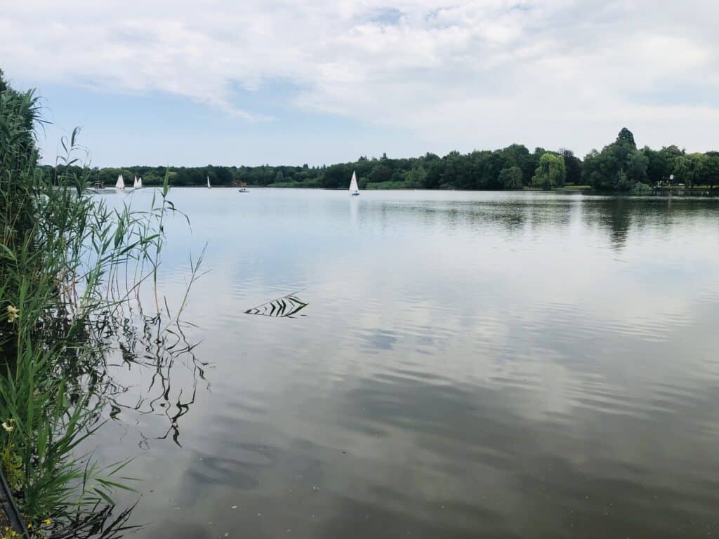 Gentle ripple on a large lake with sailing boats in distance. Sunny day.